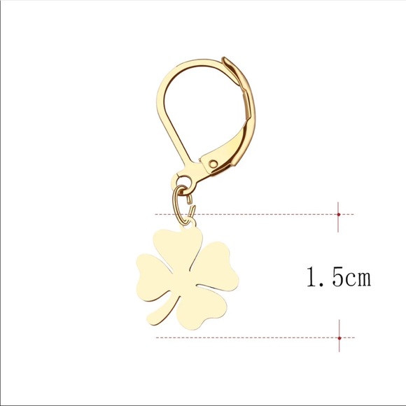 GOOD LUCK ♡ SILVER Stainless Steel Earrings - Picture 2 of 6